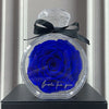 Natural Eternal Flower Ornament