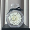 Natural Eternal Flower Ornament